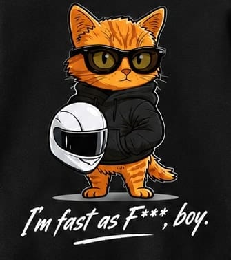 Detail of the Fast Cat graphic (concept mockup)